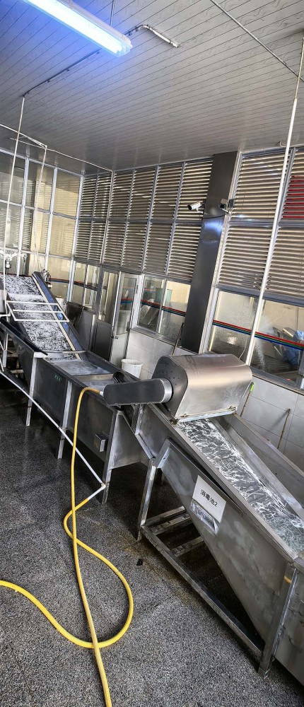 脫水蘿卜系列11